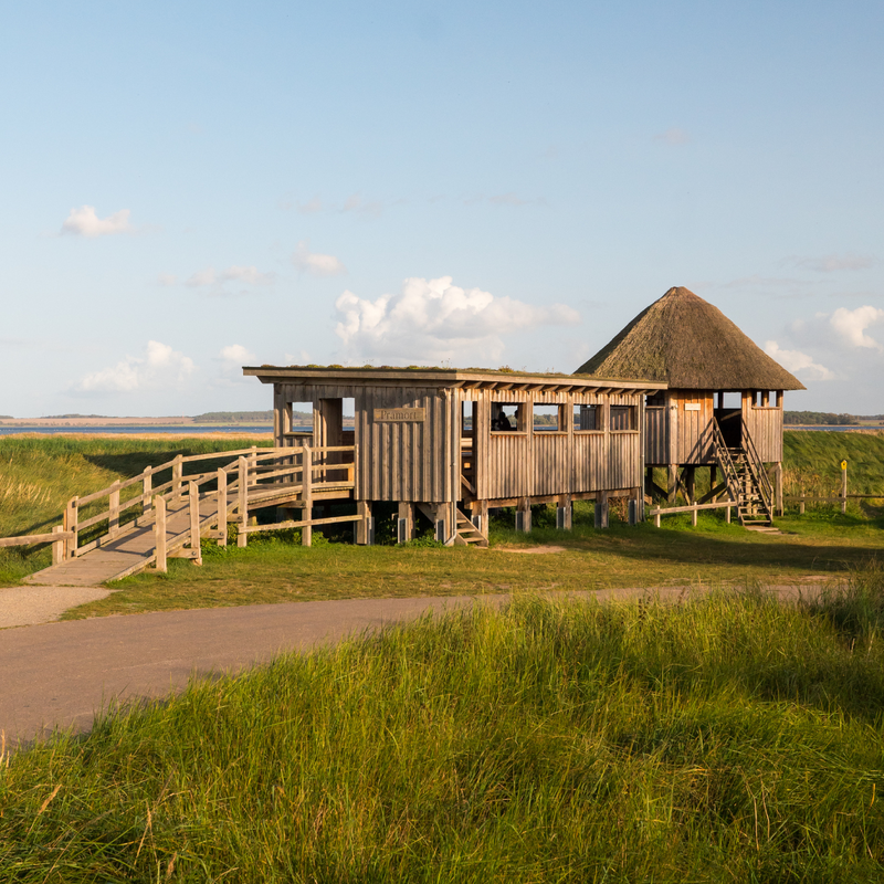 Zingst Ostseeheilbad & Hotspot für Naturfotografie Fischland Darß